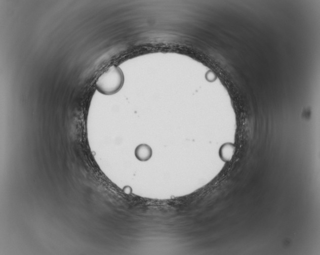 X0000115000918200912071136