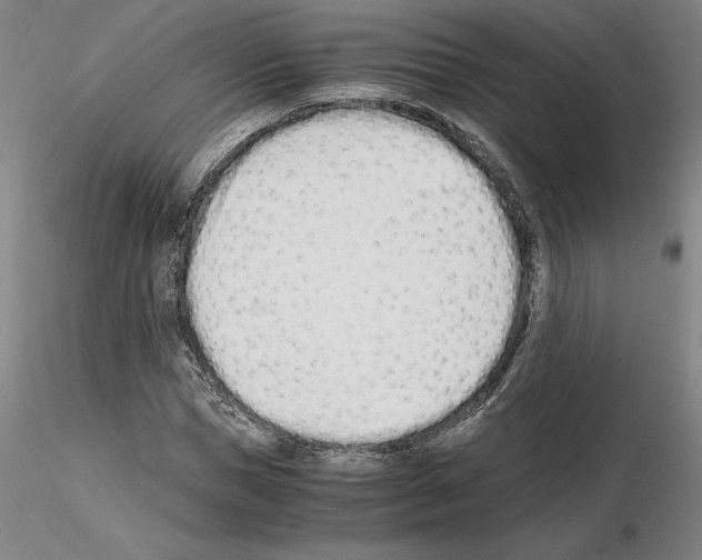 X0000115000921200912071136