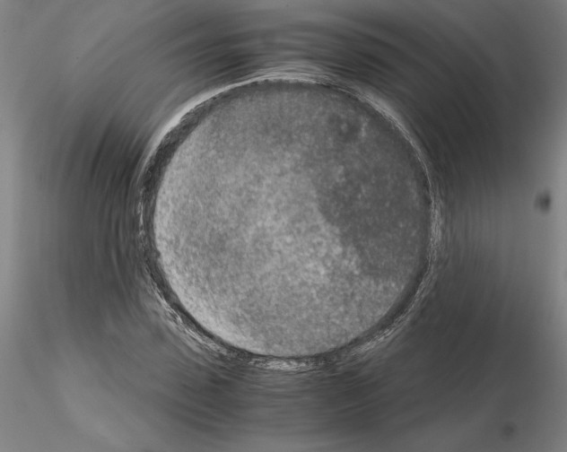 X0000115000923200912071136