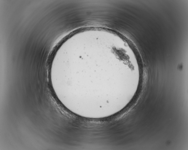 X0000115000925200912071136