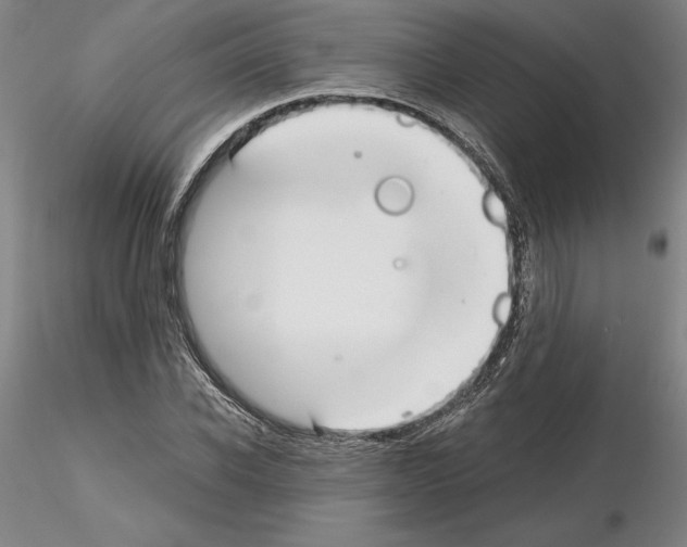 X0000115000926200912071136