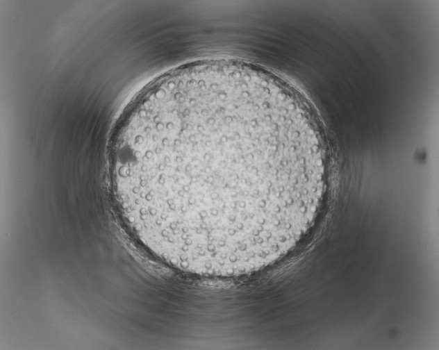 X0000115000927200912071136