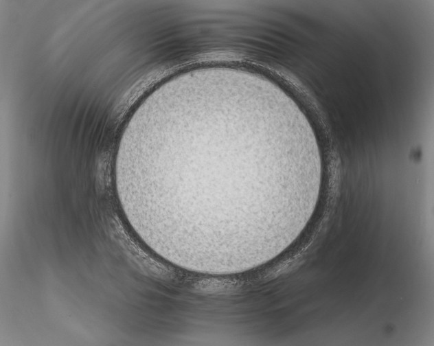 X0000115000929200912071136