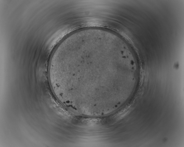 X0000115000930200912071136