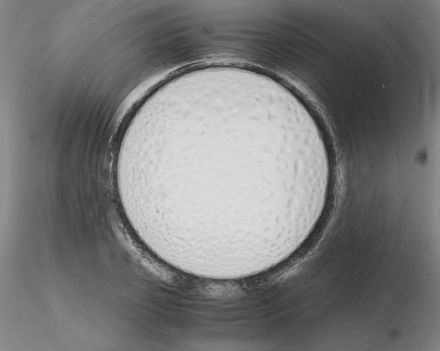 X0000115000933200912071136