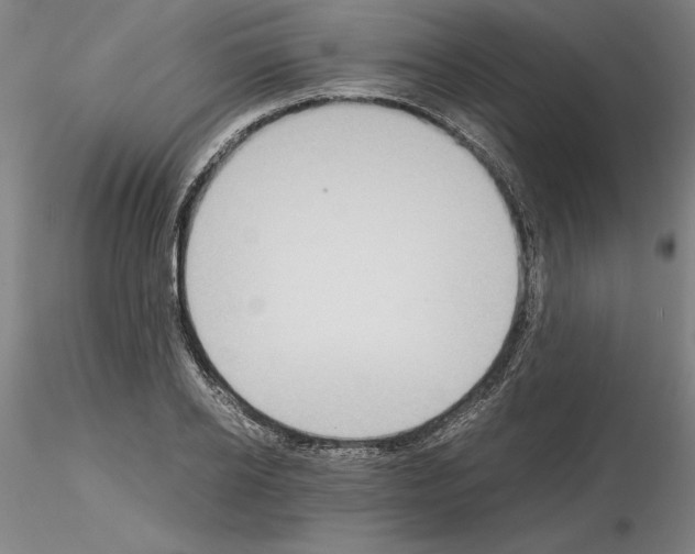 X0000115000934200912071136