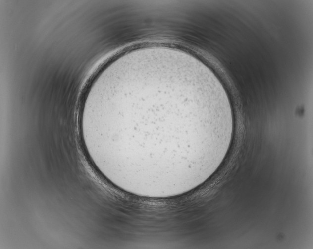 X0000115000935200912071136