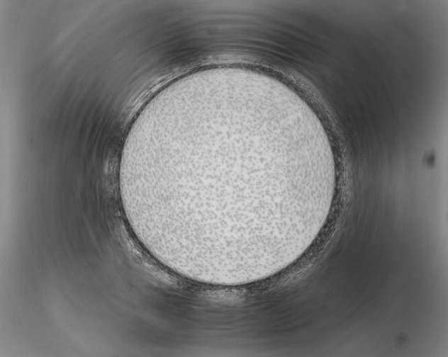 X0000115000937200912071136