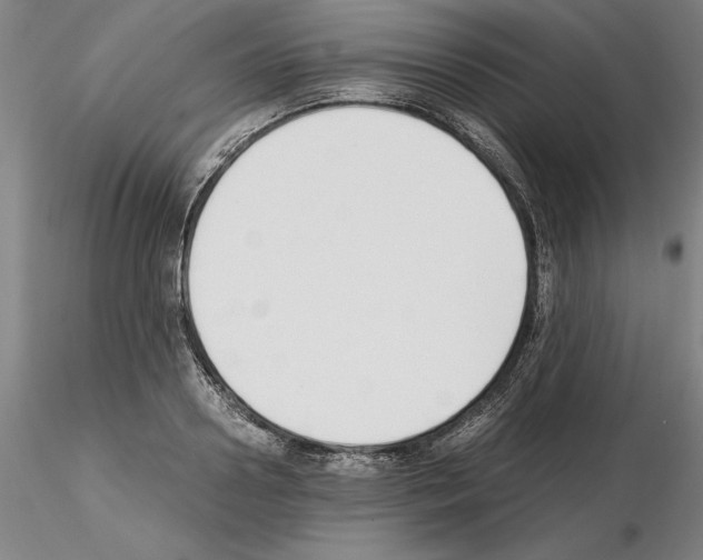 X0000115000938200912071136