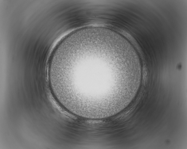 X0000115000939200912071136