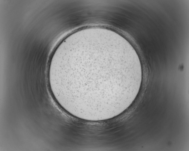 X0000115000943200912071136