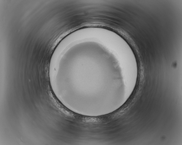 X0000115000945200912071136