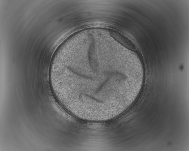 X0000115000946200912071136