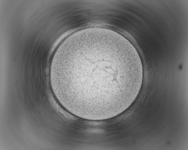 X0000115000947200912071136