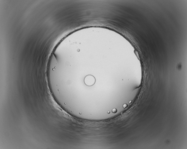 X0000115000950200912071136