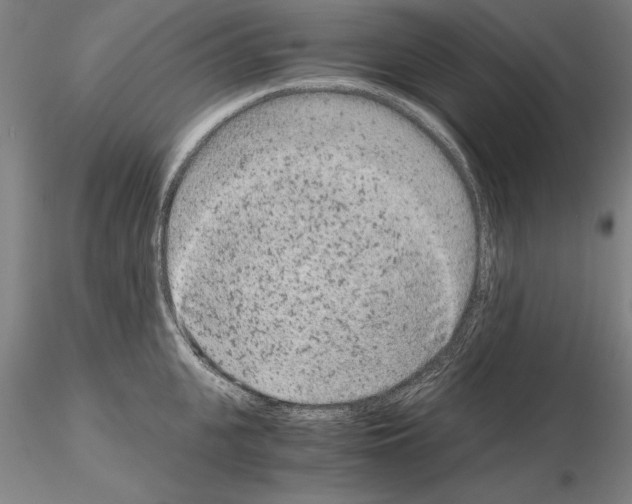 X0000115000951200912071136