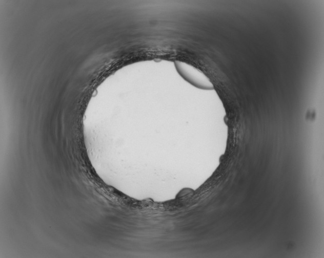 X0000115000961200912071136