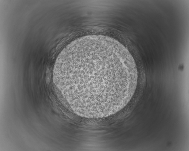 X0000115000962200912071136