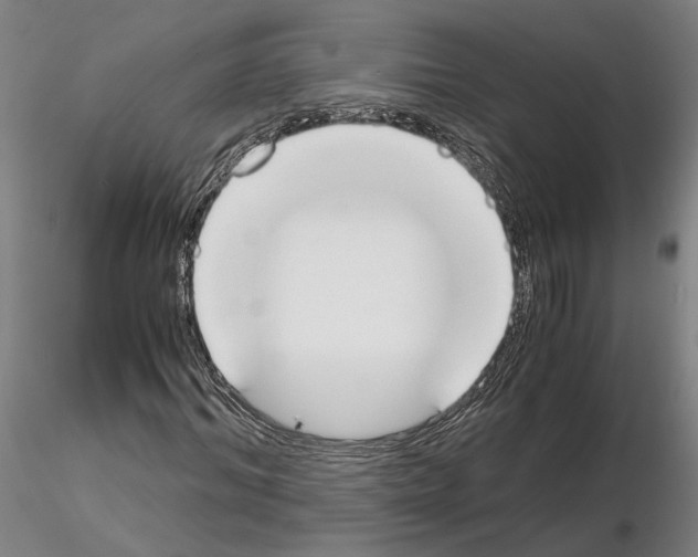 X0000115000964200912071136