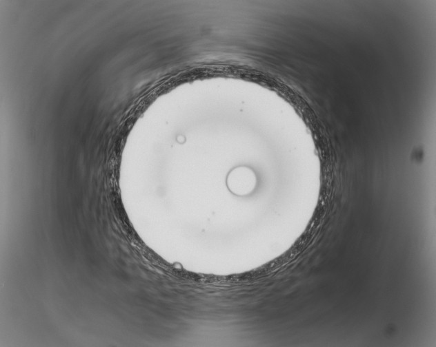 X0000115000965200912071136