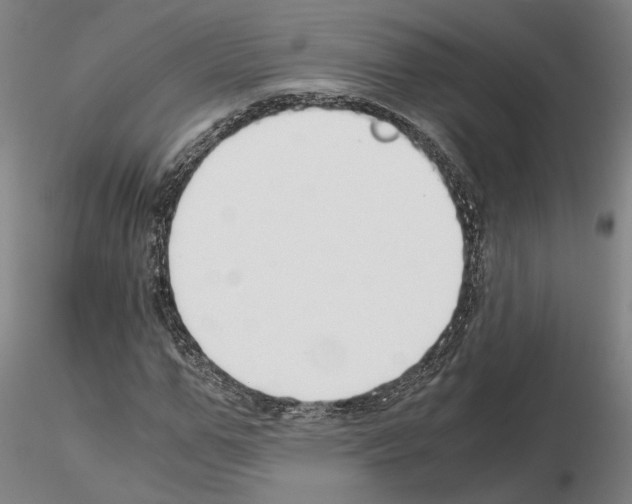 X0000115000967200912071136