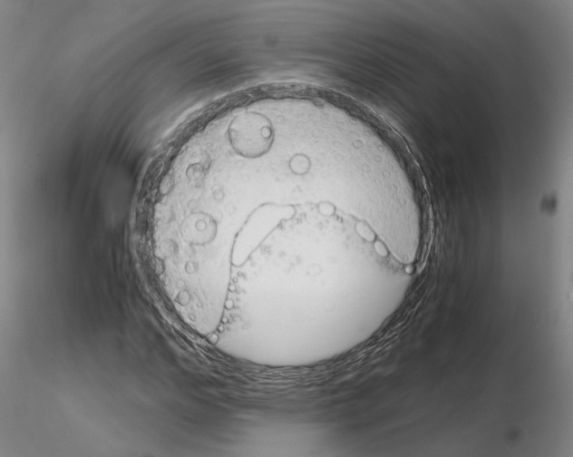 X0000115000968200912071136