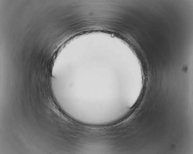 X0000115000969200912071136