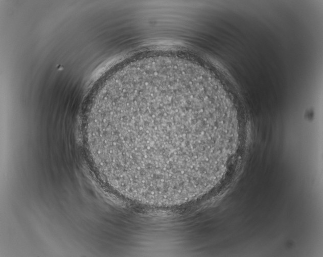 X0000115000970200912071136