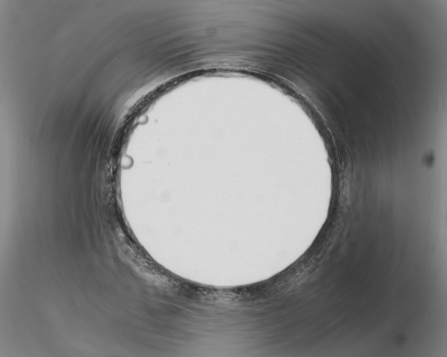 X0000115000971200912071136