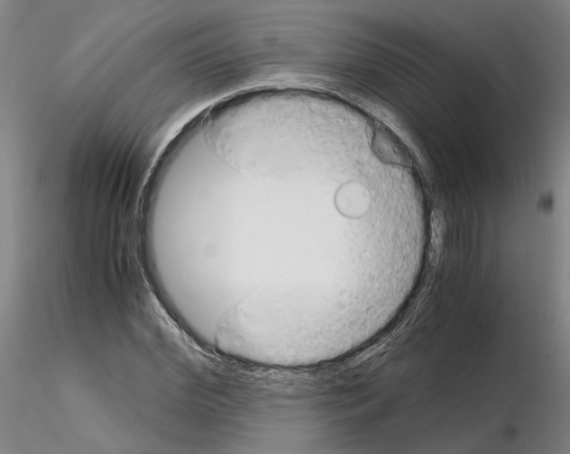 X0000115000972200912071136