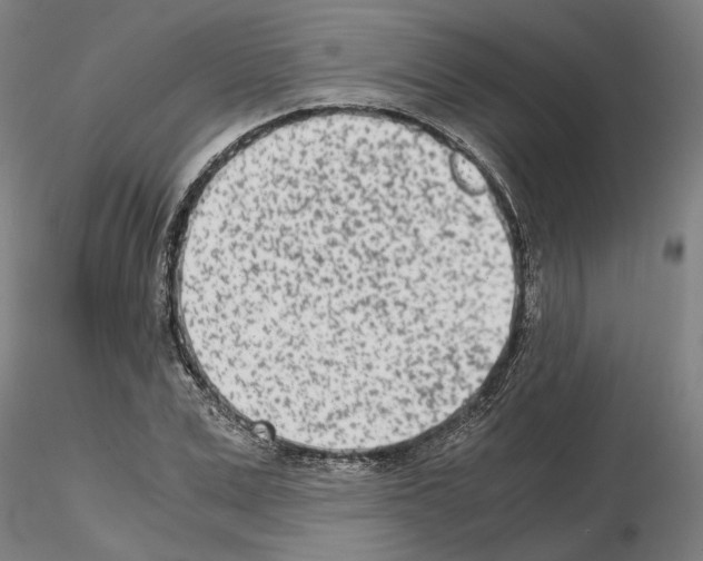 X0000115000975200912071136