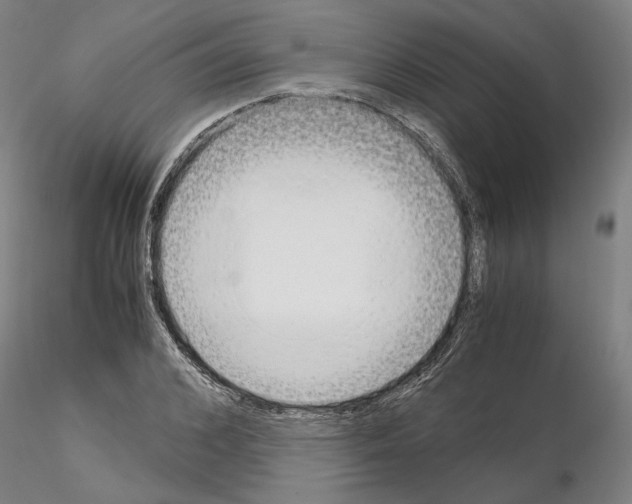 X0000115000976200912071136