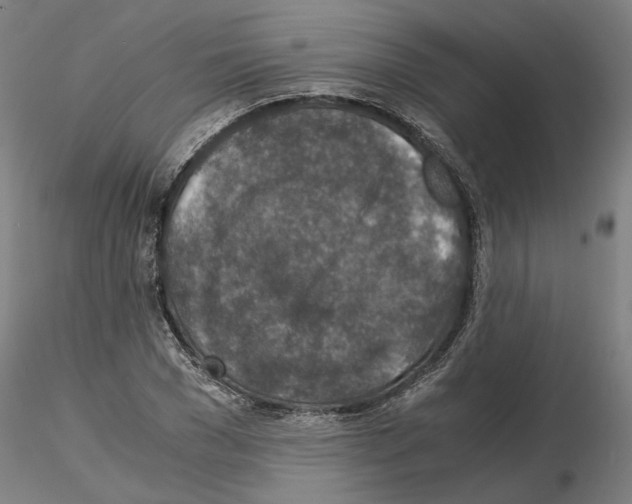 X0000115000977200912071136