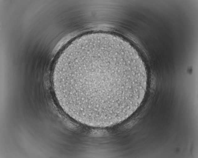 X0000115000978200912071136