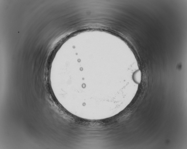 X0000115000979200912071136