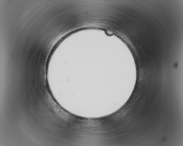 X0000115000980200912071136