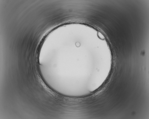 X0000115000981200912071136