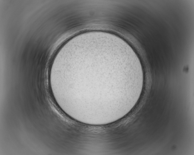 X0000115000982200912071136