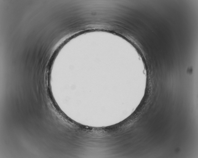 X0000115000983200912071136