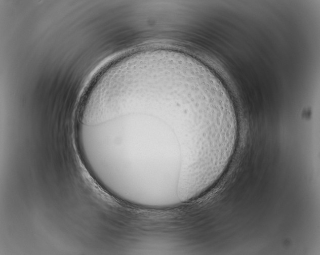 X0000115000984200912071136