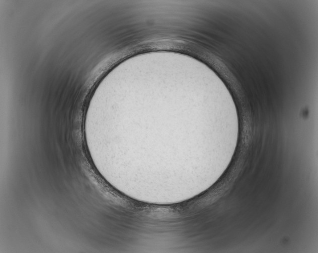 X0000115000986200912071136