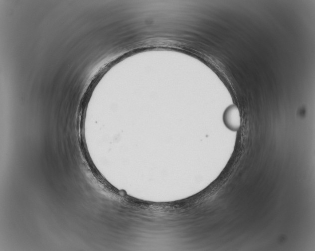 X0000115000987200912071136