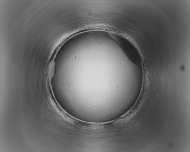 X0000115000989200912071136