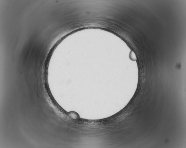 X0000115000991200912071135