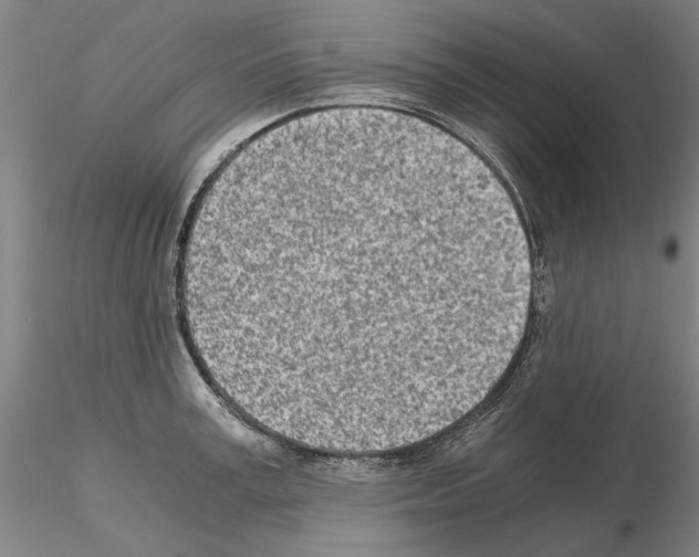 X0000115000995200912071135