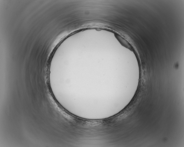 X0000115000997200912071135