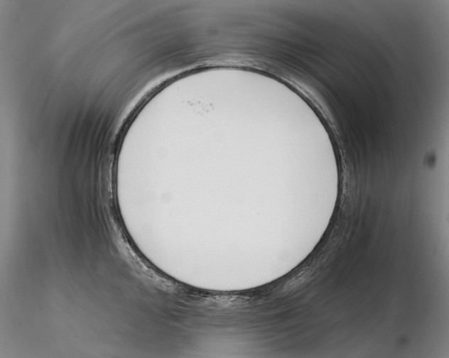 X0000115001000200912071135