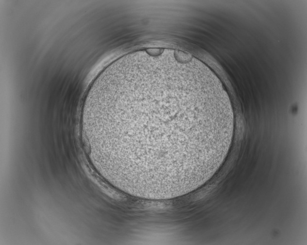 X0000115001002200912071135