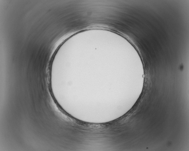 X0000115001003200912071135