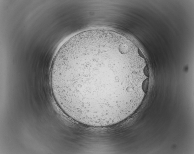 X0000115001004200912071135